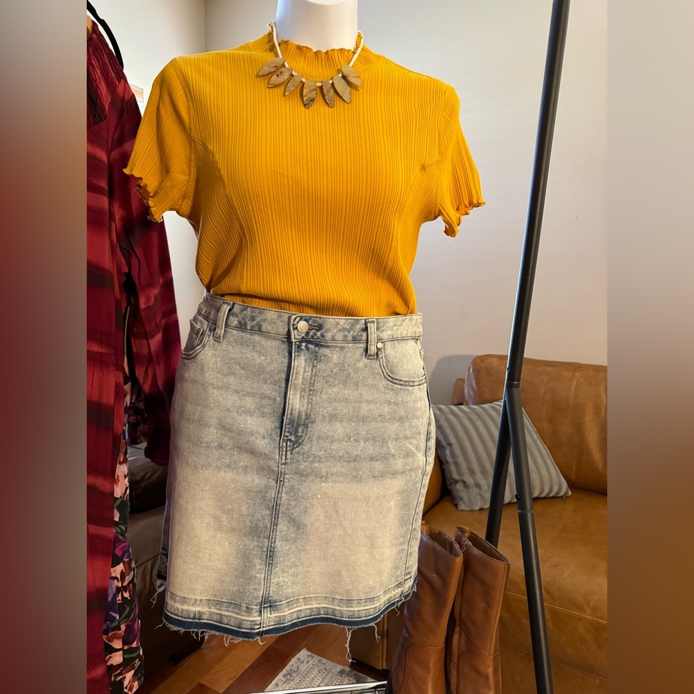 Time and Tru Women's Denim Skirt